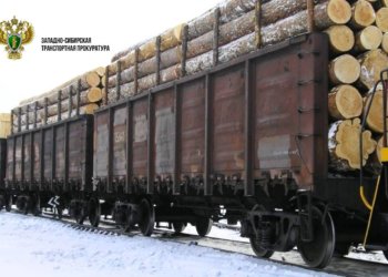 Томский суд рассмотрит дело о контрабанде леса на 20 млн. рублей