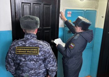 Новосибирец оплатил долги по 184 исполнительным производствам