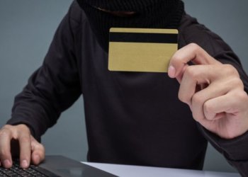 Госдума в первом чтении приняла закон о защите от кибермошенничества