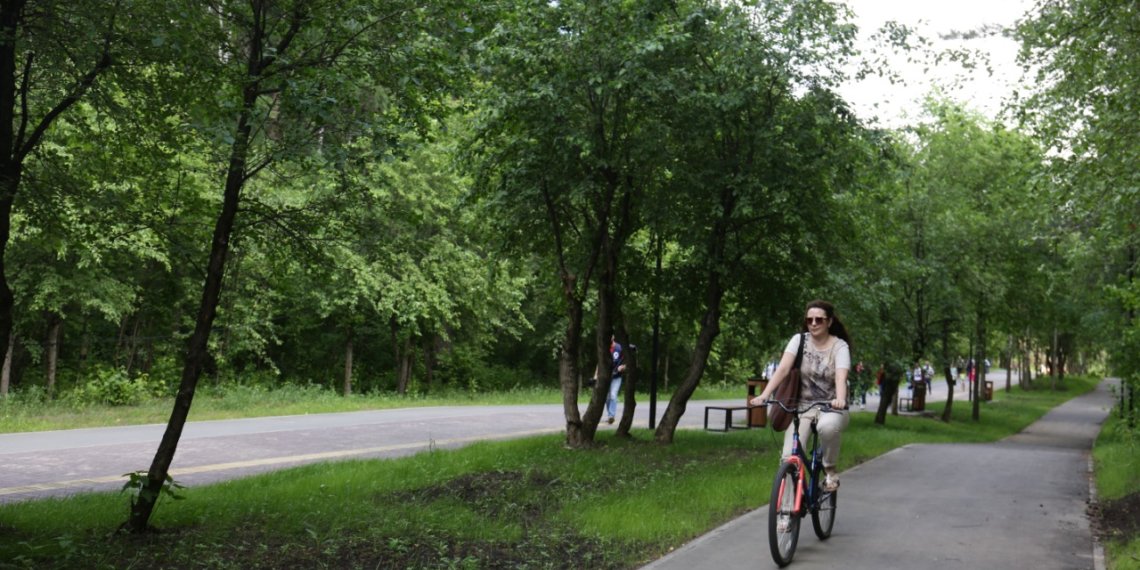 Новосибирцы смогут выбрать новую зеленую зону для благоустройства из восьми объектов