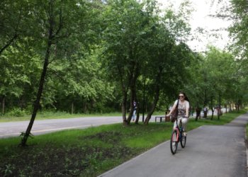 Новосибирцы смогут выбрать новую зеленую зону для благоустройства из восьми объектов