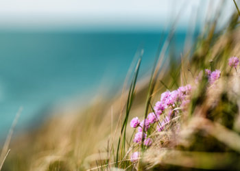 В Новосибирскую область придет летнее тепло в эти выходные