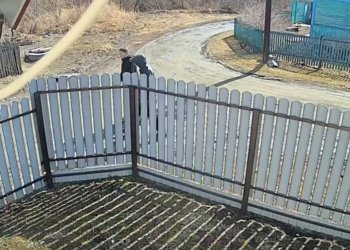 Лжеторговцев антиквариатом задержали за кражи из загородных домов Новосибирской области