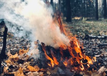 В Новосибирской области произошло 87 пожаров за сутки