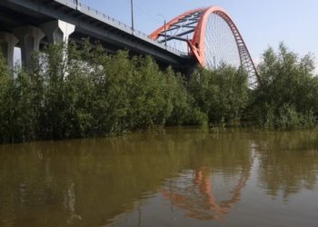 На Бугринском мосту в Новосибирске вернут подсветку за 20 млн. рублей