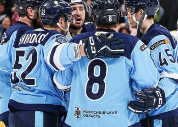 Болельщик ХК «Сибирь» пришел на матч пьяным – дело дошло до суда в Новосибирске