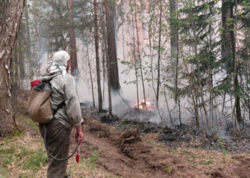 В Новосибирской области 11 апреля введут режим повышенной пожароопасности