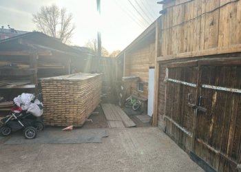 В Красноярском крае мать с шизофренией зарезала трех своих детей