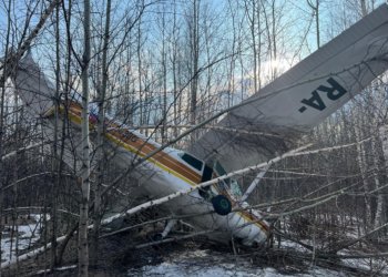 Новосибирского пилота будут судить за крушение самолета — ущерб составил более 8 млн рублей