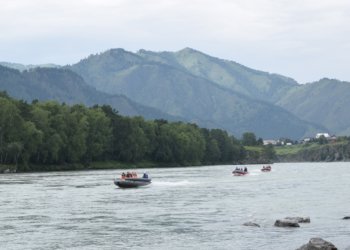 Стало известно, куда сибиряки поедут на летний отдых