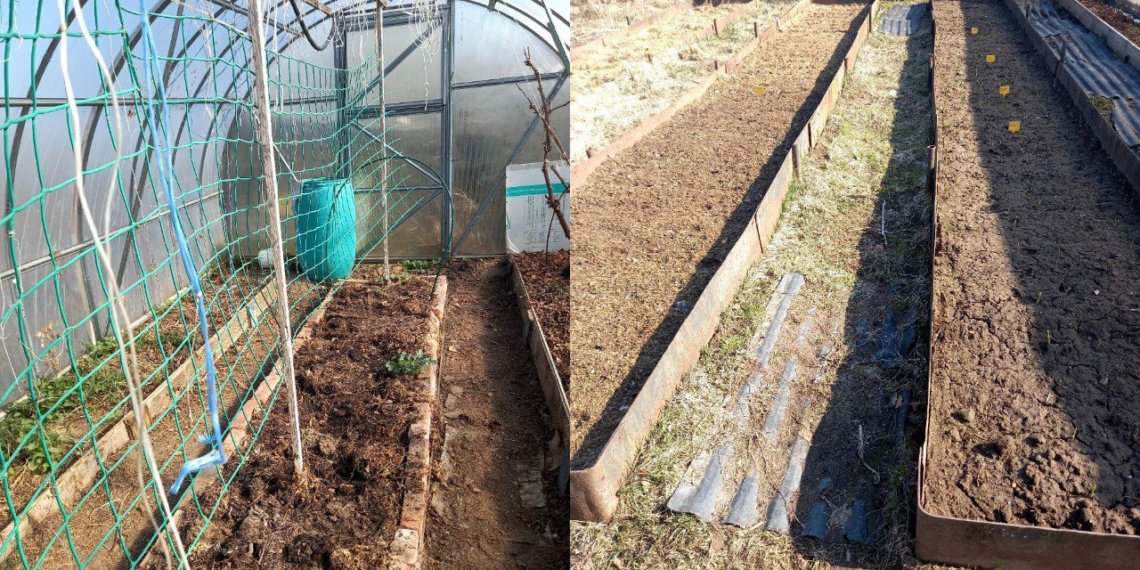 «Любить свою землю и правильно за ней ухаживать»: новосибирская огородница раскрыла секреты хорошего урожая