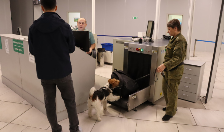 Служебная собака нашла 13, 4 тысяч долларов у мигранта в аэропорту Новосибирска