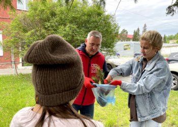 Экологическая акция КПРФ «День кедра» завершилась с рекордными результатами
