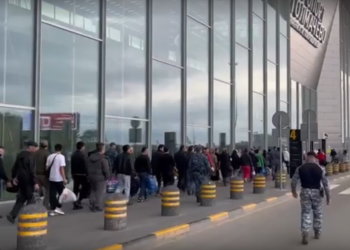 Более 50 незаконных мигрантов выдворили за сутки из Новосибирска