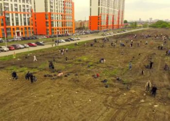 400 новосибирцев высадили геоглиф «80 Лет Победы»