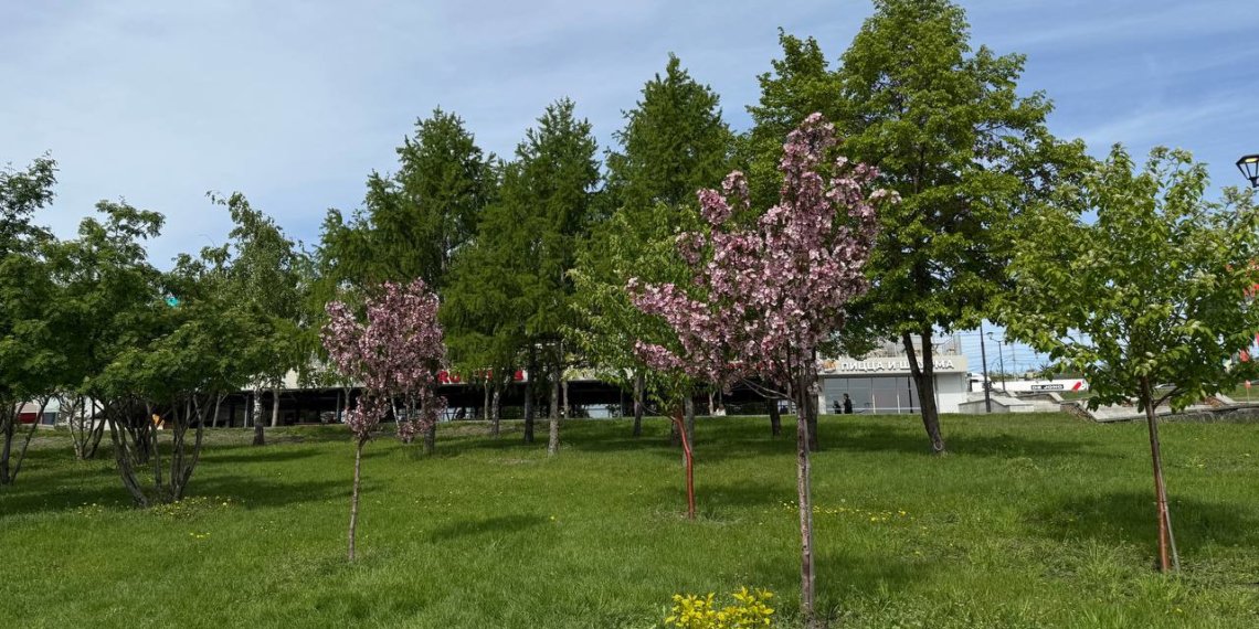 С 21 мая Новосибирскую область накроет аномальная жара