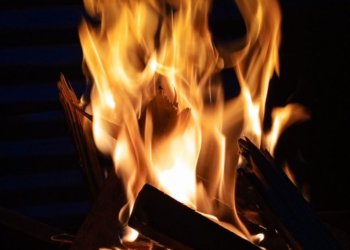 Более 278 человек наказаны за разведение огня и шашлыки