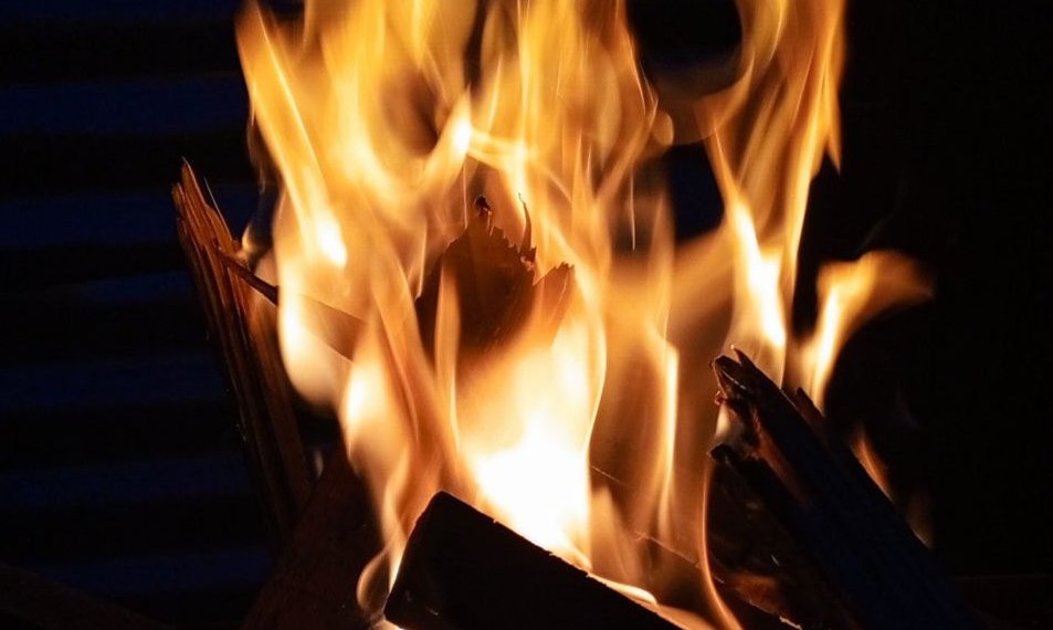 Более 278 человек наказаны за разведение огня и шашлыки