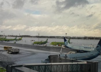 Более 700 человек не могут вылететь в Новосибирске из-за задержек рейсов