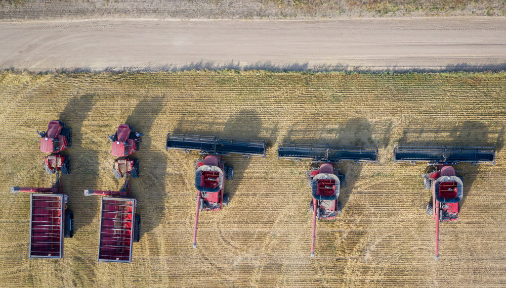 Серию афер с хищением более 1100 гектаров земель раскрыли в Новосибирской области