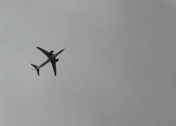 Прямые рейсы между Новосибирском и Наманганом в Узбекистане запустят с 23 июня