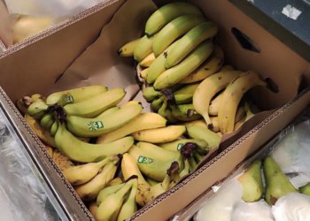 Украли 300 кг бананов: директора магазина и товароведа осудят за хищение в Новосибирской области