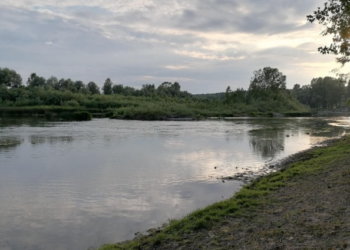 Восьмилетний мальчик утонул в Новосибирской области