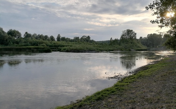 Восьмилетний мальчик утонул в Новосибирской области