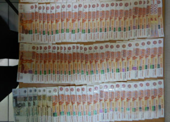 Спаниель Робин нашла 1,5 млн рублей у новосибирца, летевшего в Узбекистан