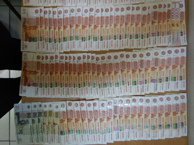 Спаниель Робин нашла 1,5 млн рублей у новосибирца, летевшего в Узбекистан