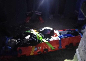 Сибирячка упала с 13 этажа, пытаясь спасти котёнка