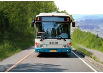 С 9 июня между Обью и Толмачёво запустят удобный автобус