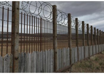 Приватность на даче под запретом: не подходящие под правила заборы придётся демонтировать