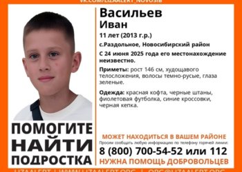 Под Новосибирском пропал 11-летний школьник в красной кофте