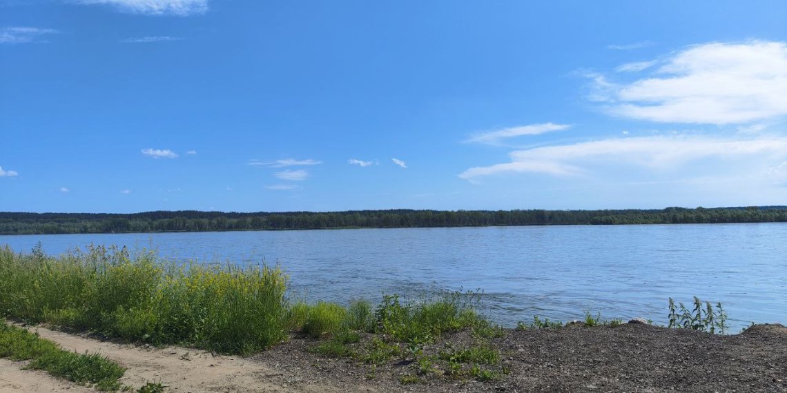 Малые реки Новосибирской области: решится ли проблема загрязнения?