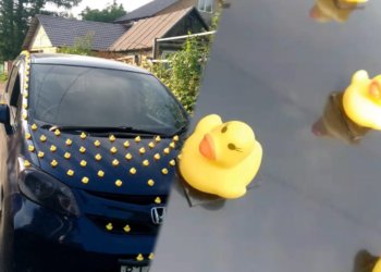 Жительница Новосибирска превратила свою Honda Freed в символ позитива — машина украшена двумя сотнями уточек