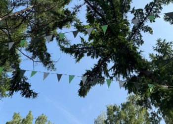 Дожди и грозы ждут новосибирцев после жарких выходных