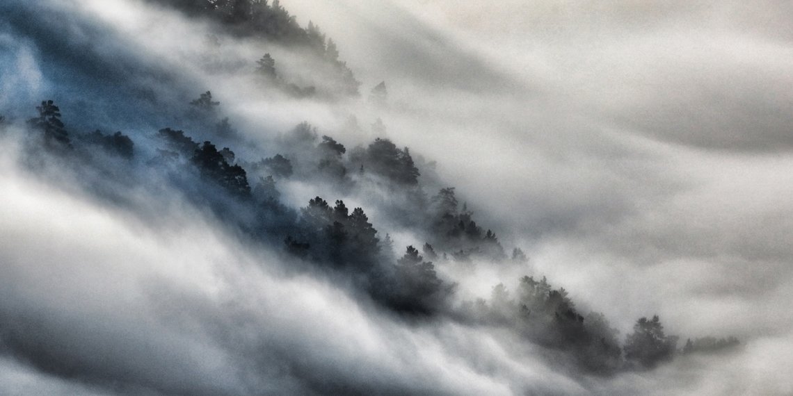 Сказочные «молочные» туманы окутали прителецкую тайгу на Алтае