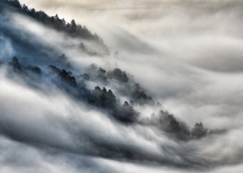 Сказочные «молочные» туманы окутали прителецкую тайгу на Алтае