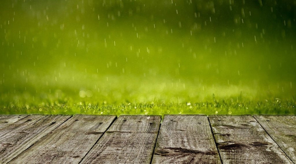 Какая погода ждет Новосибирскую область в начале недели?