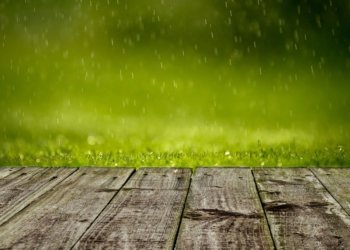 Жара и дожди ожидают Новосибирскую область до конца недели