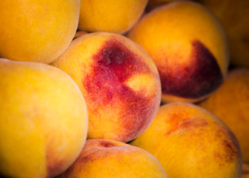 Более 20 тонн персиков с опасным вредителем обеззаразили в Новосибирске