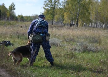 В Новосибирске вынесли приговор бывшему начальнику кинологической службы
