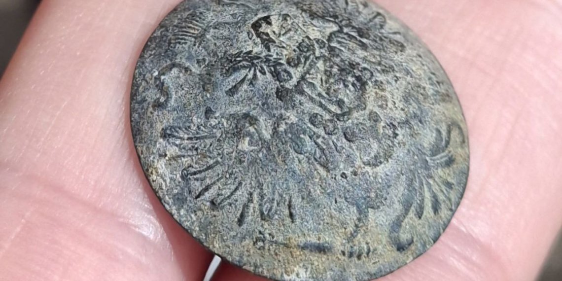 Императорскую пуговицу обнаружили у берега острова в Новосибирской области