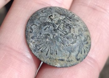 Императорскую пуговицу обнаружили у берега острова в Новосибирской области