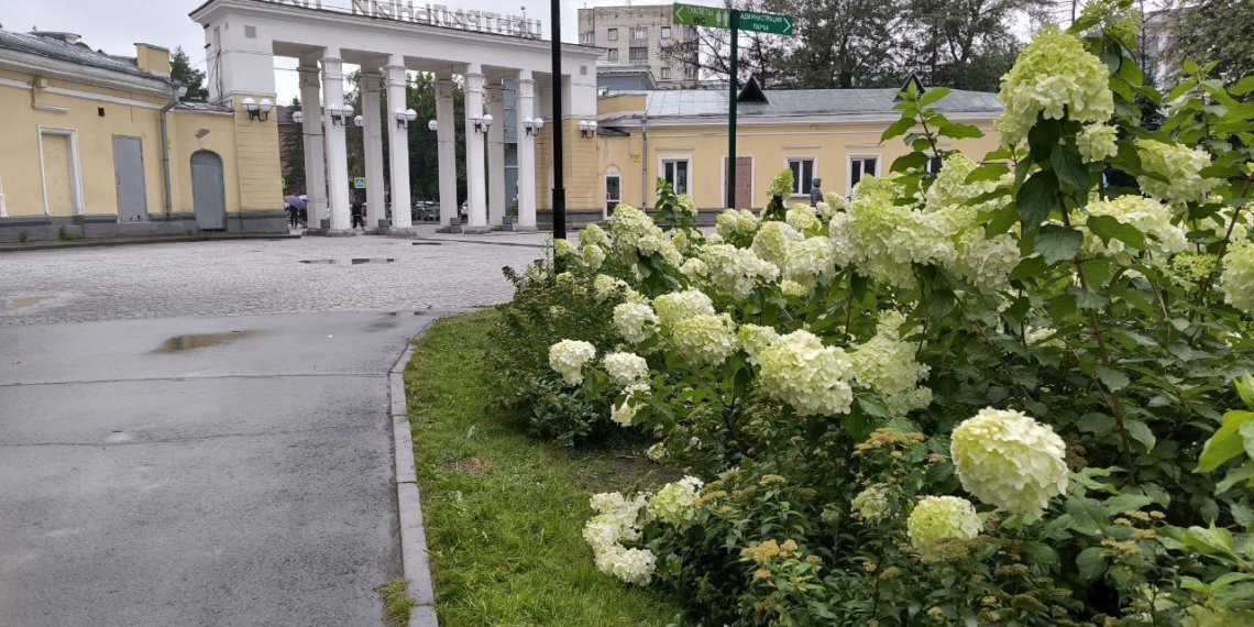 Новосибирск поднялся на 2-е место в голосовании за культурную столицу