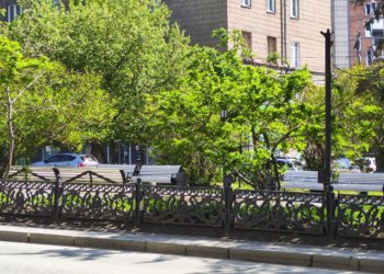 Жара вернется в Новосибирскую область после июльского похолодания