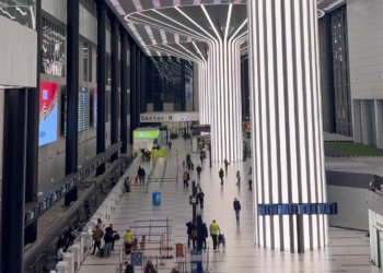 Новосибирца осудят за попытку провезти мигрантов через Толмачево