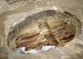 Погребение ребенка раннего железного века раскопали в Новосибирской области