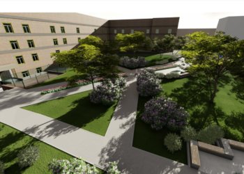 Новая зелёная зона появится в Новосибирске на месте снесённого ДК имени Клары Цеткин